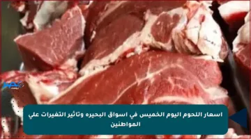أسعار اللحوم اليوم الخميس في أسواق البحيرة وتأثير التغيرات على المواطنين